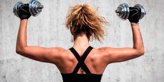 Estrogens, what they did not tell you Estrogens, what they did not tell you