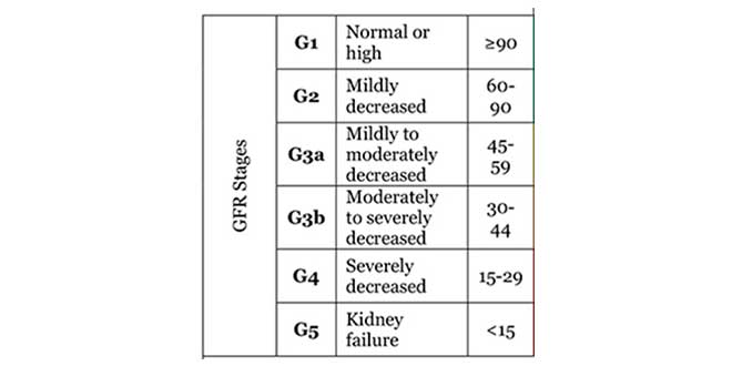 GFR stages GFR stages