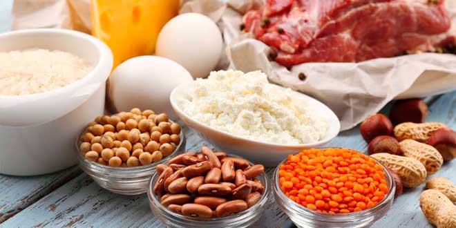 Protein-rich foods Protein-rich foods