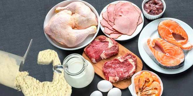 High-Protein Diet, do you know all its benefits? High-Protein Diet, do you know all its benefits?