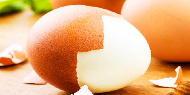 Boiled egg