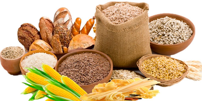 Foods that are rich in carbohydrates