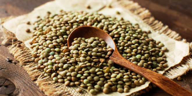 Spoonful of lentils