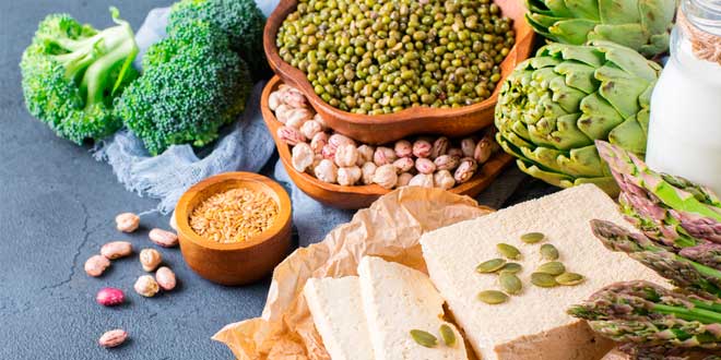 Main sources of protein vegetarian vegan Main sources of protein vegetarian vegan