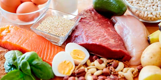 Protein sources Protein sources