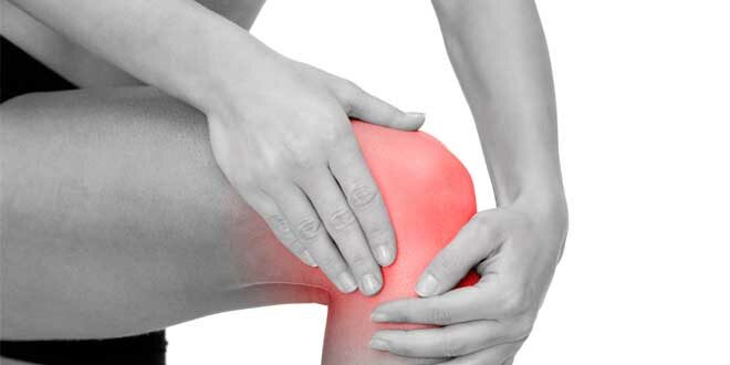 Supplements for joints