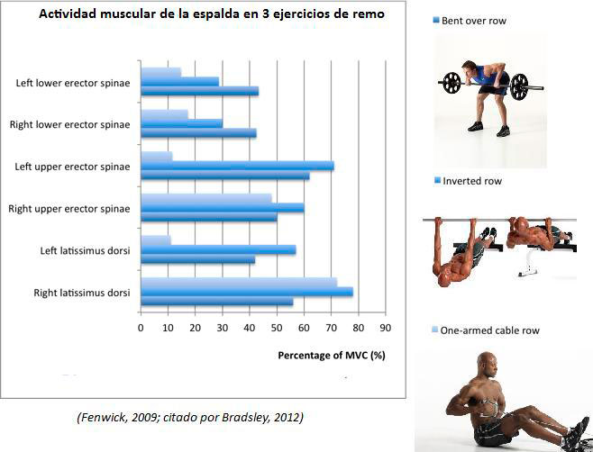 Back muscle activity Back muscle activity