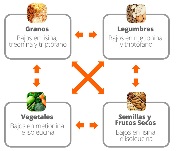 Combining different sources of vegetable protein Combining different sources of vegetable protein