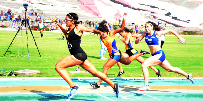 Fast fibres and nsports results Fast fibres and nsports results
