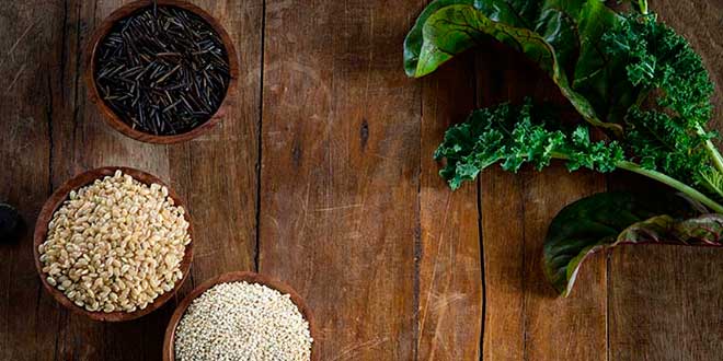 Food Sources for the Vegan Diet Food Sources for the Vegan Diet