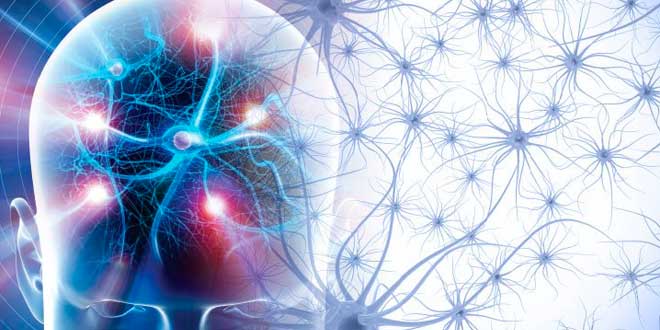 Neurotransmitters effects Neurotransmitters effects