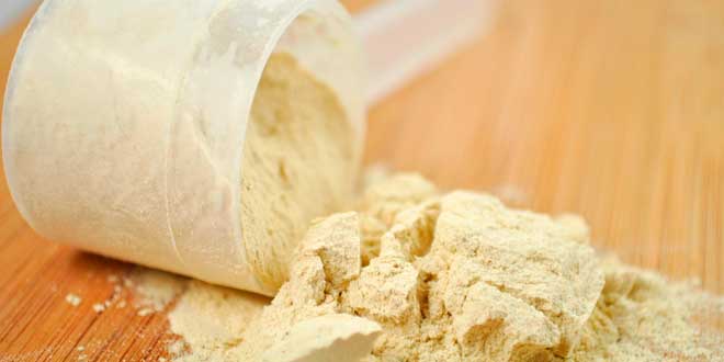 Soy Protein: What is it, Benefits and Properties Soy Protein: What is it, Benefits and Properties