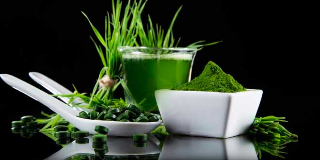 Spirulina formats