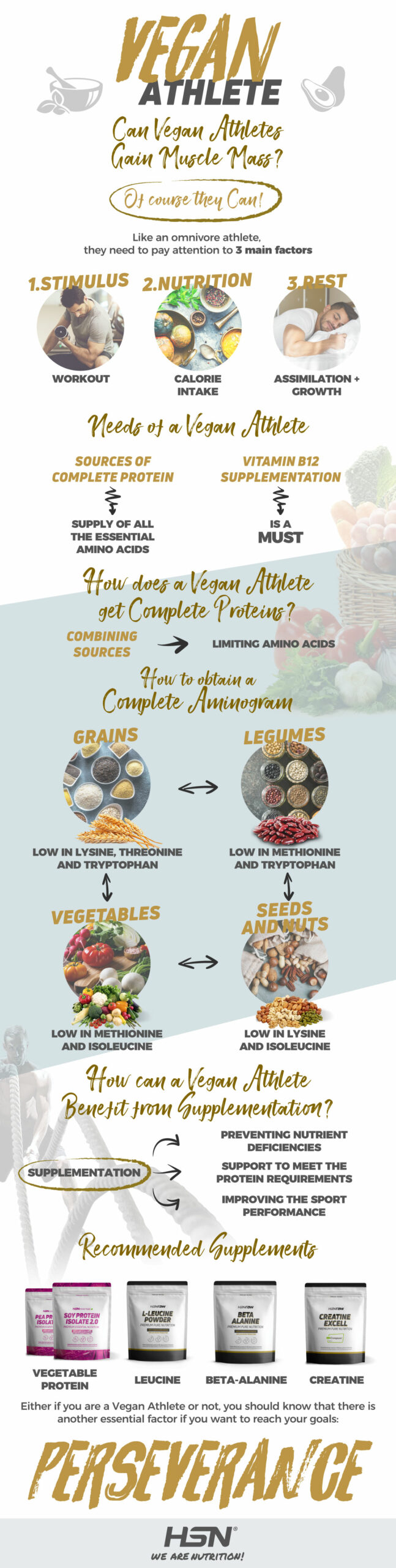 Vegan diet info Vegan diet info