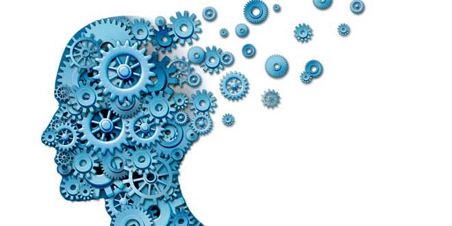 Phosphatidylserine: properties and how it helps brain function