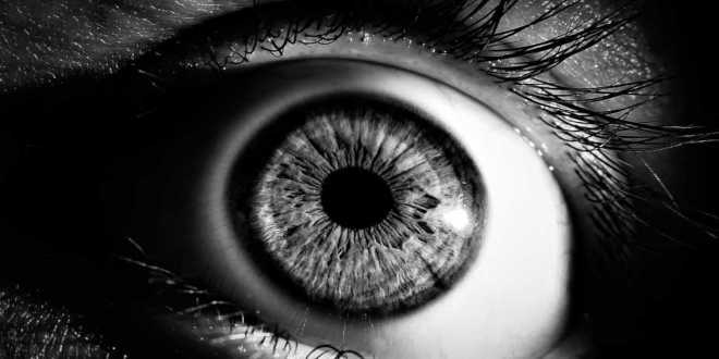 Astaxanthin improves our sight