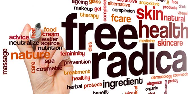 What are the free radicals