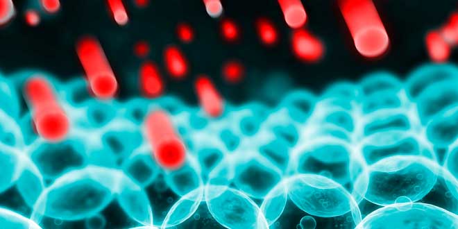 Effect of oxidative stress