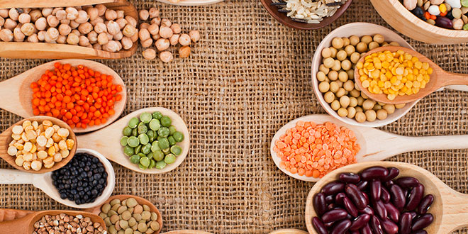 Colorful vegetables
