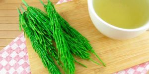 Horse tail infusion