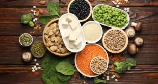 Top 12 sources of plant-based protein