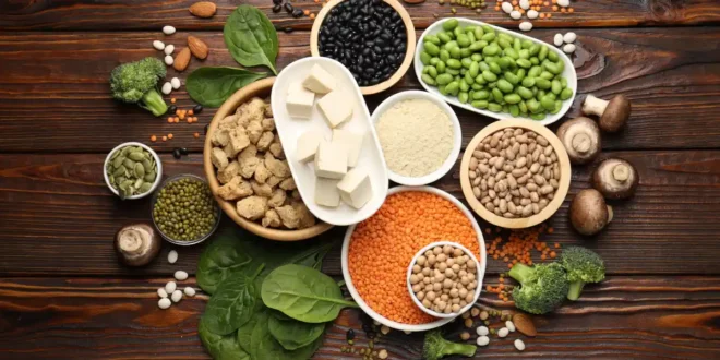 Top 12 sources of plant-based protein Top 12 sources of plant-based protein