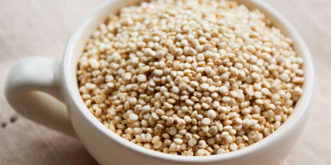 Cup of quinoa Cup of quinoa