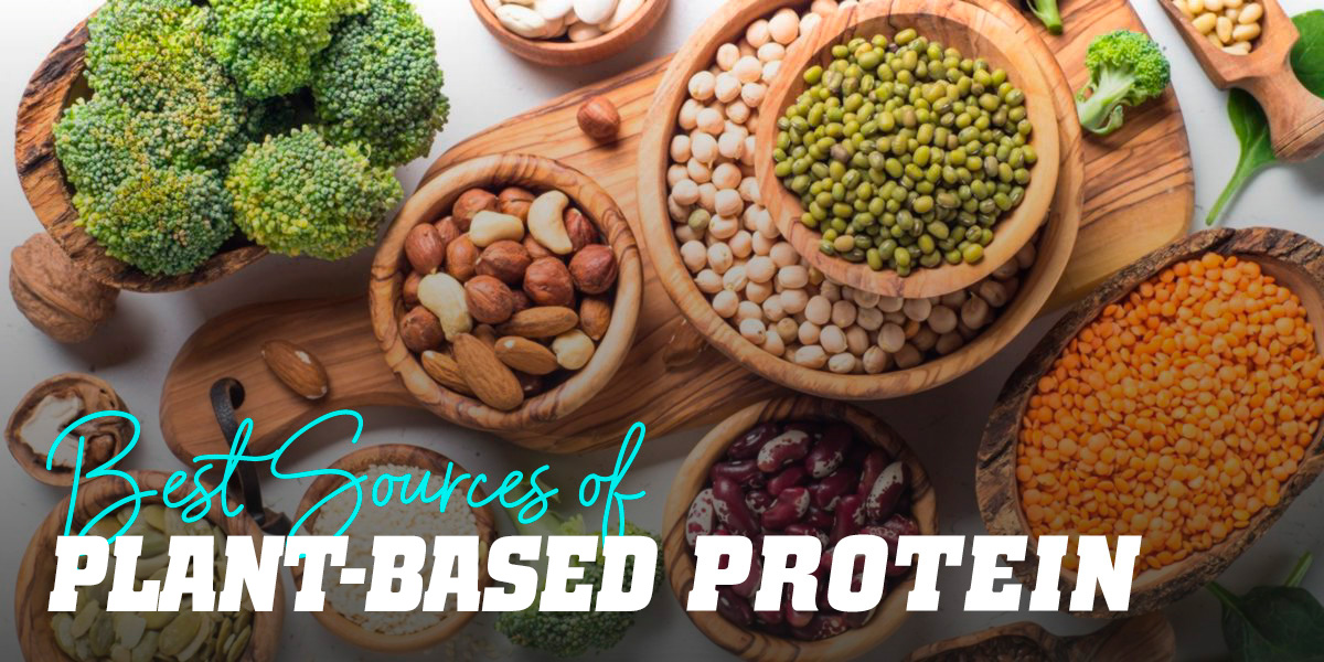 The 12 Best Sources of Plant-based Proteins
