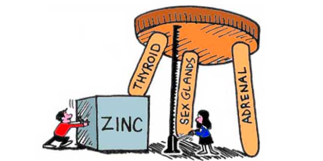 The importance of zinc