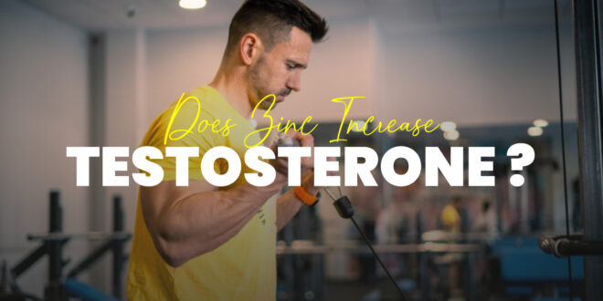 Zinc and testosterone increase