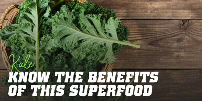 Superfood Kale: What it is, Properties and Recipes Superfood Kale: What it is, Properties and Recipes
