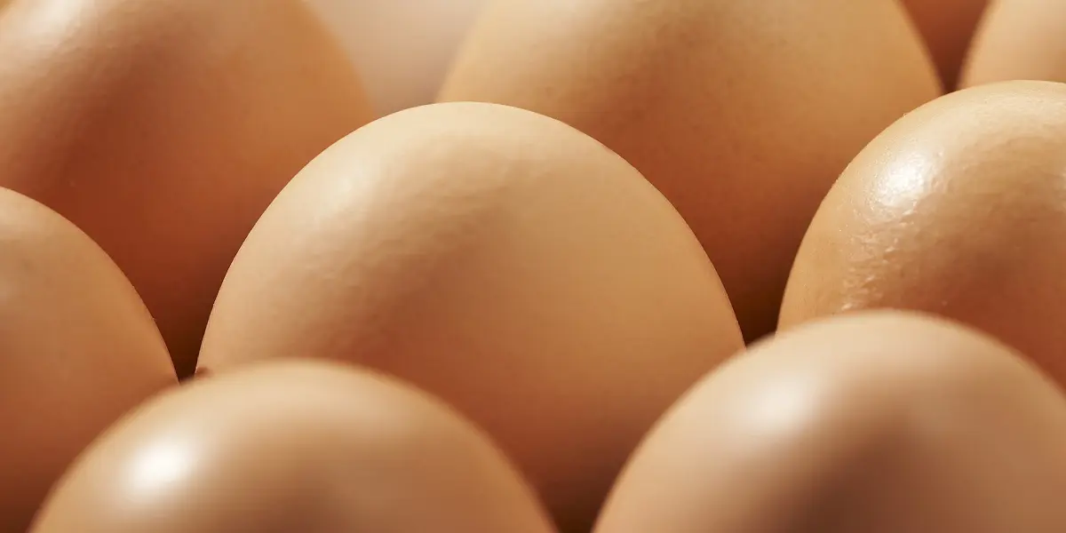 How much protein does an egg contain and what are its benefits for athletes?