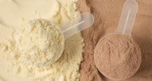 Differences Between Isolated and Concentrated Whey Protein