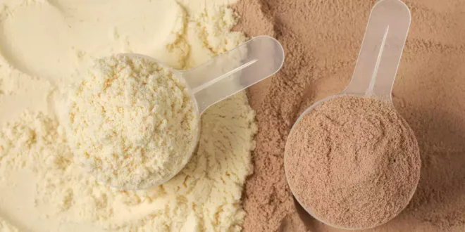 Differences Between Isolated and Concentrated Whey Protein