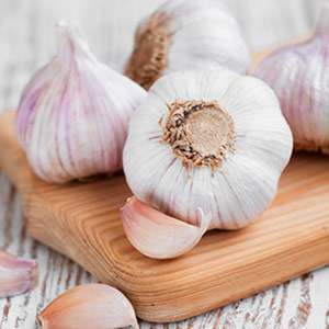 Garlic and sulfur