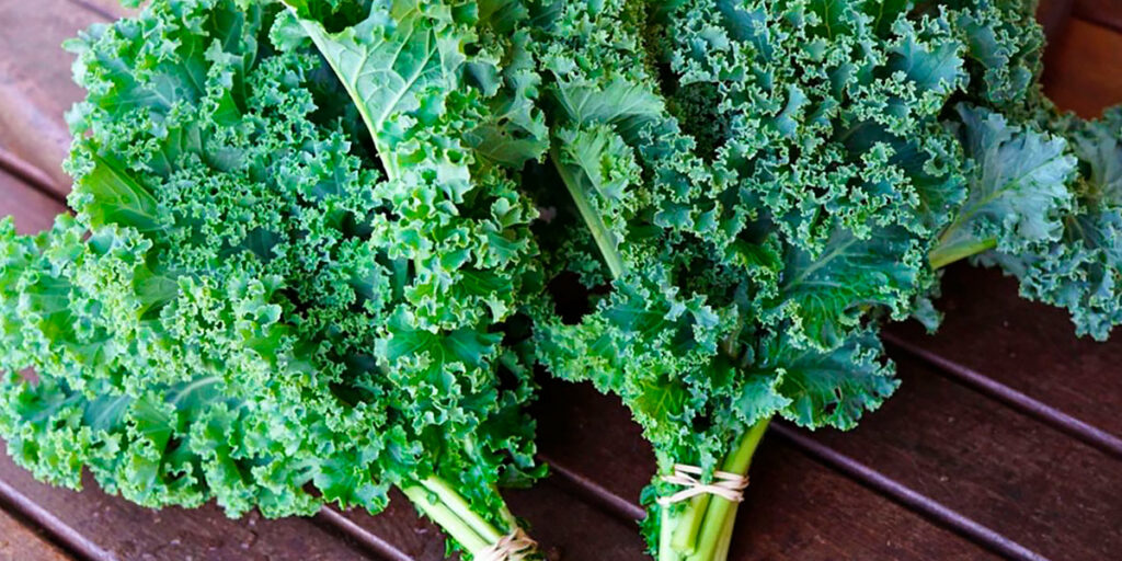 All about Kale: What it is, Properties and Recipes【HSN Blog】