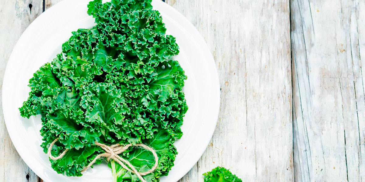 Kale Salad Kale Salad