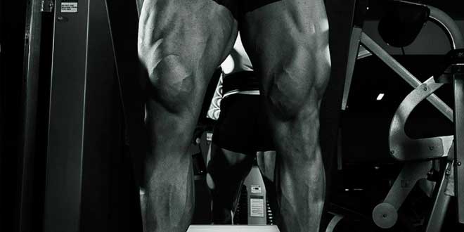 Muscle growth