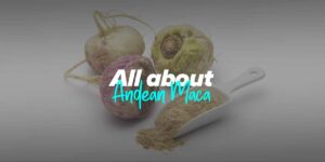 Andean Maca