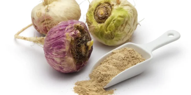 What is Andean Maca and what are its benefits? What is Andean Maca and what are its benefits?