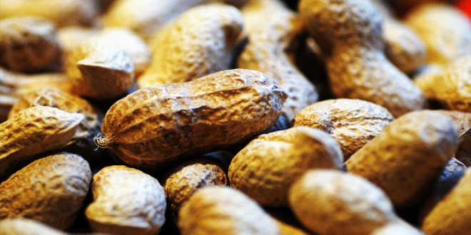 Peanuts source of leucine Peanuts source of leucine