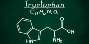 Tryptophan chemical structure
