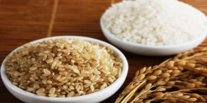 Whole rice protein source