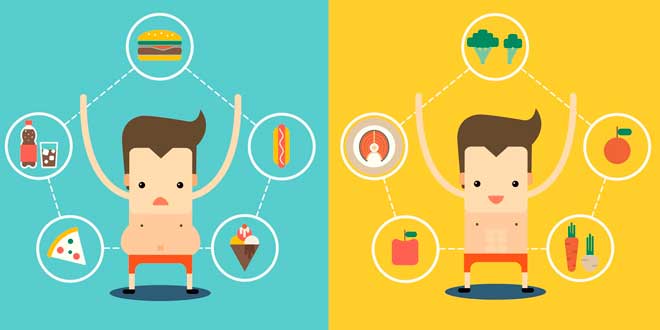 A healthy intestinal flora enhances weight loss A healthy intestinal flora enhances weight loss