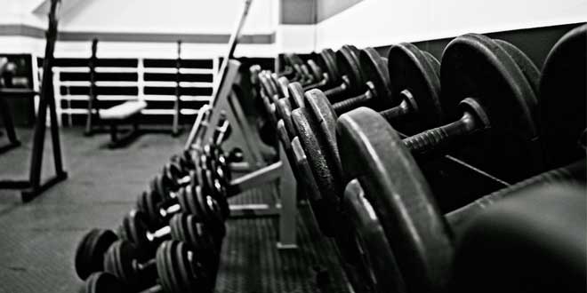 Dumbbells - Gym Dumbbells - Gym
