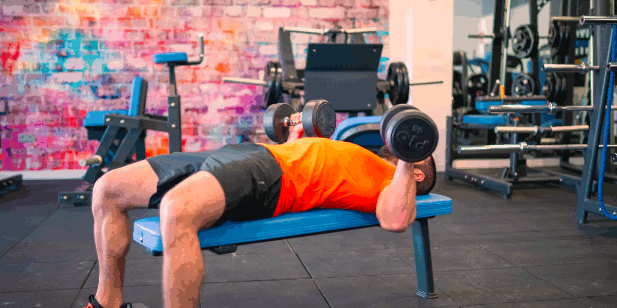 bench press on a bench bench press on a bench