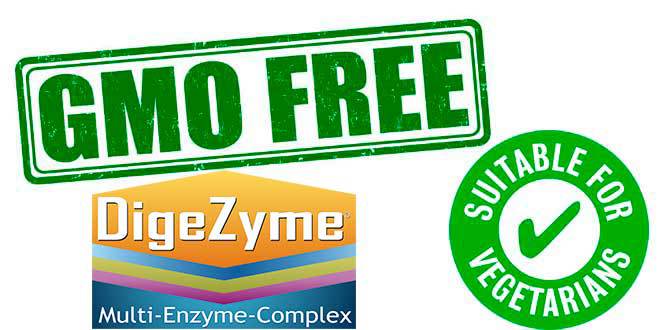 Digezyme is suitable for vegetarians Digezyme is suitable for vegetarians