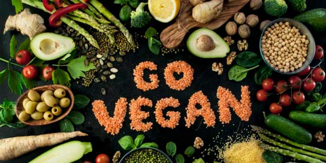 Go Vegan Go Vegan