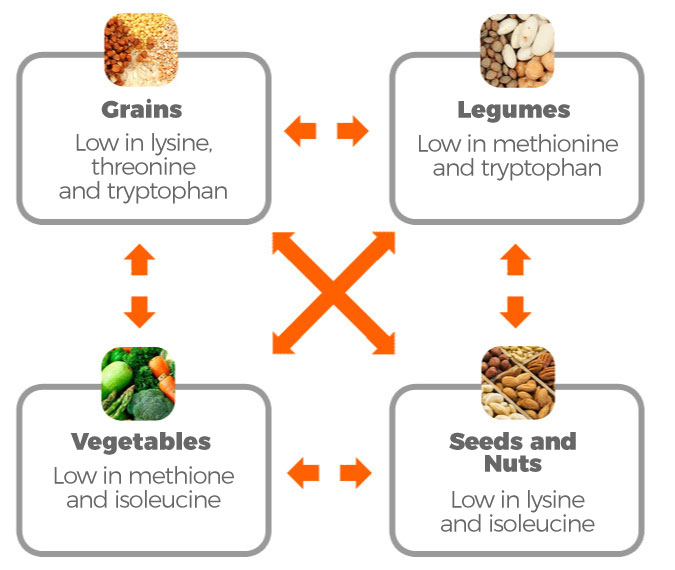 Sources of vegetable protein