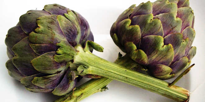 Prebiotics: Benefits and Properties